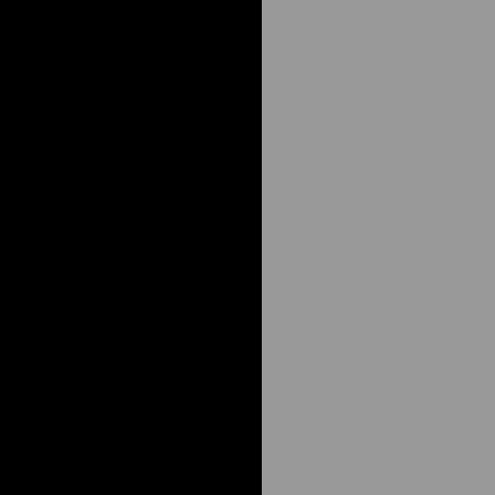 Black / Gray / Smoke Gray / Clear